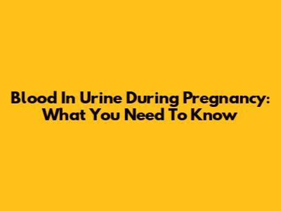 Blood In Urine During Pregnancy: What You Need To Know
