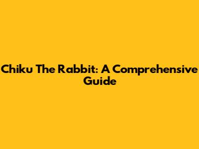 Chiku The Rabbit: A Comprehensive Guide
