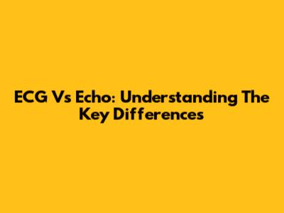 ECG Vs Echo: Understanding The Key Differences