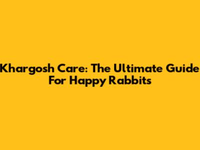 Khargosh Care: The Ultimate Guide For Happy Rabbits