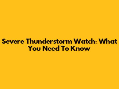 Severe Thunderstorm Watch: What You Need To Know