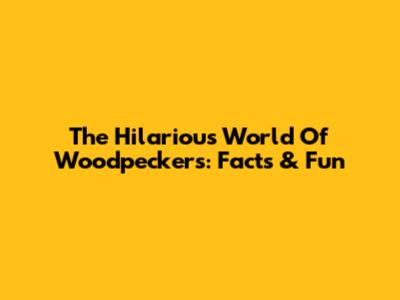 The Hilarious World Of Woodpeckers: Facts & Fun