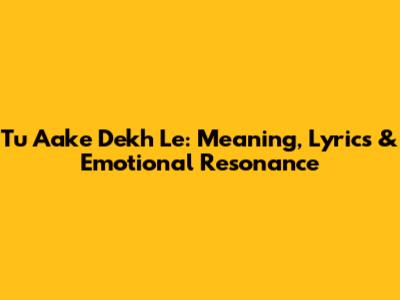 Tu Aake Dekh Le: Meaning, Lyrics & Emotional Resonance